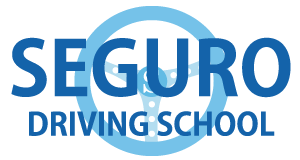セグロドライビングスクール